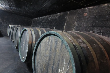 Harvesting in Mosel